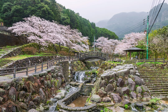 Park with cascading water and skura tunnel at Okawachiyama, Imari