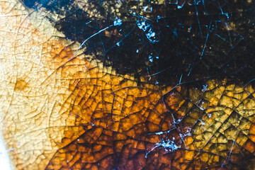 Texture of brown broken glass, close-up