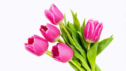 Obraz premium Beautiful Pink Tulips Bouquet on White Background Perfect for Spring and Mother's Day