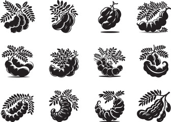 Tamarind Fruit Silhouette Vector Illustration