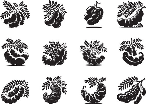 Tamarind Fruit Silhouette Vector Illustration