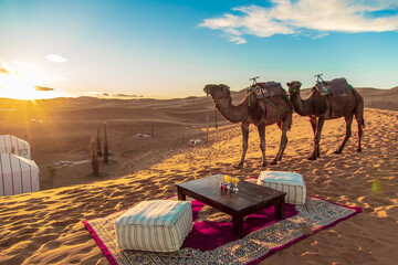 A vibrant desert camp with traditional Moroccan tents, adorned with colorful rugs and cushions....