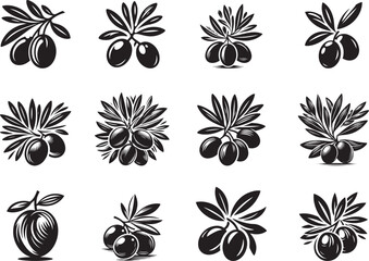 Olive Fruit Silhouette Vector Illustration
