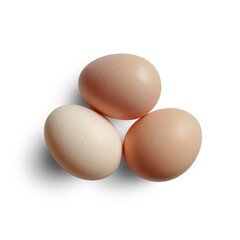 Chicken Eggs