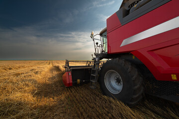 Harvester working in wheatfield at sunset.