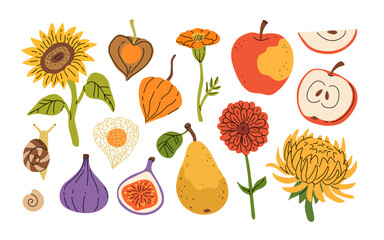 Autumn hand drawn vector background with leaves, fruits, flowers, seeds, snails. Autumn gifts decorative tag, sticker, card. Fall designed frame.