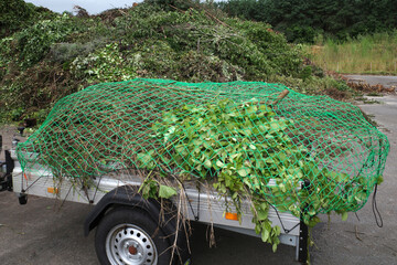 Taking pruning waste away in a trailer to a recycling center. There is a giant heap in the...
