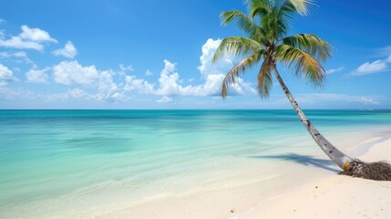 Fototapeta premium Beach Featuring a Trimmed Palm Tree