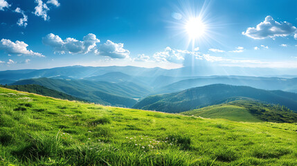 Obraz premium Stunning view of the meadow with mountains and blue sunny sky in the background