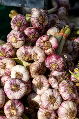 Large bunch of fresh white and purple garlic at the market