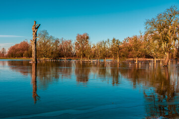 Flooded fields at Reihn near Düsseldorf in Germany.
