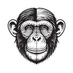 Ape, Monkey vector ilustration logo