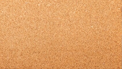 Fototapeta premium Texture of Cork Fabric Background