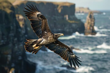 Obraz premium A magnificent white-tailed eagle soaring over a coastal landscape, with cliffs and ocean waves in the background.