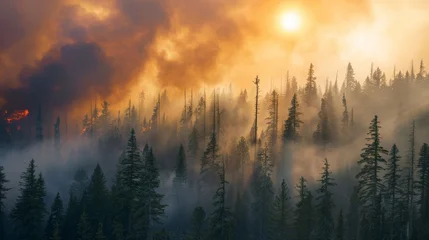 Foto auf Acrylglas Wald im Nebel Wildfire consuming a dense forest, smoke filling the sky  © Sasint
