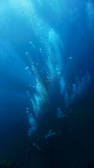 The universe of scuba divers. Underwater photo of the USS Liberty Shipwreck from World War Two, WWII. From a scuba dive in Bali, Indonesia, Asia.