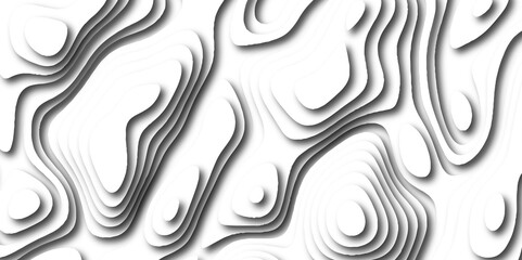 Topographic canyon geometric map relief texture with curved layers and shadow. abstract White background with a beautiful pattern, Topographic contour lines vector map seamless pattern vector.