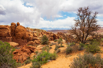 Scenic Fiery Furnace Terrain Rocks and Vegetation