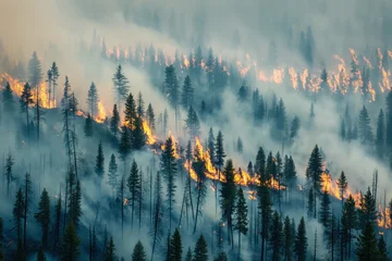 An aerial view of a wildfire spreading across a forested area, with multiple active fire lines and patchy areas engulfed in flames, illustrating the vastness and complexity