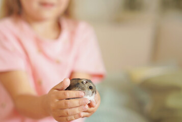Close-up of a girl's hands holding a hamster. Cute pet, caring attitude, home comfort. Space for text or caption. Perfect for articles, advertisements, and content about pets, childhood, and the conce