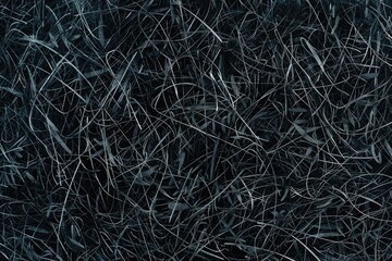 A black and white photo of a bunch of grass