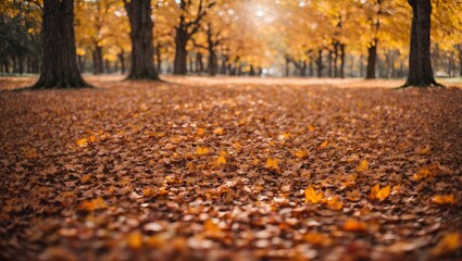 Golden Autumn Pathway