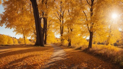 Fototapeta premium Golden Hour in Autumn's Embrace: A sun-drenched path winds through a vibrant forest adorned in golden foliage, capturing the warmth and serenity of fall. 
