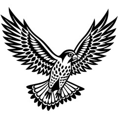 eagle Vector
