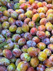 Plums fruits ripe fresh delicious 