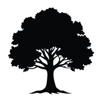 recommend clip art: oak tree silhouette isolated on white