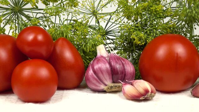 Red ripe tomatoes, heads of garlic and heap of green dill umbels placed on a white towel