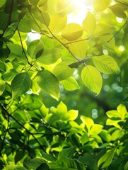 Versatile Vertical Background: Enhance Your Visual Content