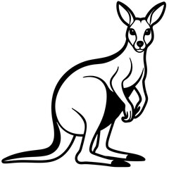 Kangaroo Vector