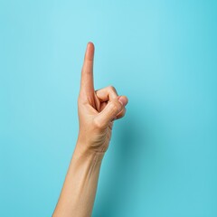 International Day of Sign Language celebration.