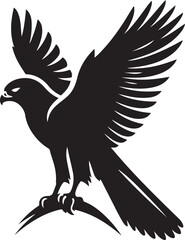 Falcon silhouette vector illustration. Flying Bald Eagle black and white Silhouette vector. Bald Eagle silhouettes isolated on white