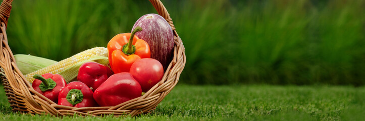 Basket of fresh vegetables including bell peppers, tomatoes, corn, and eggplant on a lush green lawn.