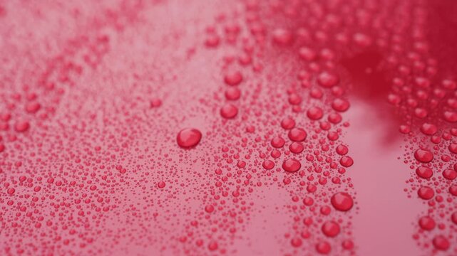 Slow motion handheld closeup of raindrops on ceramic coated red car with hydrophobic effect