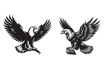 Fototapeta premium Eagle silhouette vector art illustration with white background - Generative AI