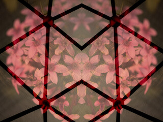 Fototapeta premium Flores cor de rosa e grades com vidro sobre. Múltipla exposição feita na fotografia. 