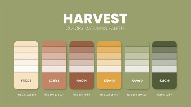 Color palette guide in Fresh colour theme collections. Color inspiration or chart with codes template. Color combination RGB. Colors swatches for graphic design, art, fashion, web or painting. Vector.