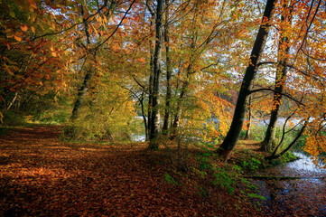 Jesień na pojezierzu