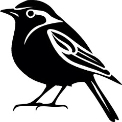 A black and white drawing of a bird with a white background