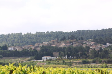 France countryside vineyards