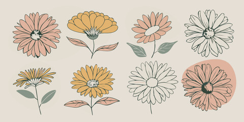 Orange flowers on white background, resembling soft bird plumage. Hand-drawn illustration.