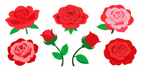 Red rose flowers at various growth stages, from bud to full bloom. Rose Bundle Collection.