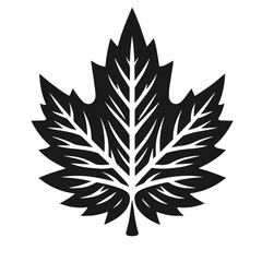 Clean Black and white vector silhouette of a Leaf on white background