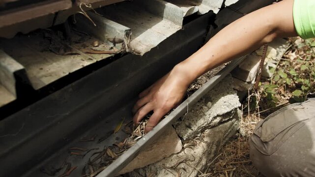 Hand cleaning rainwater gutter from leaves and debris