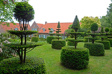 If, Taxus baccata, Jardins de la ferme du mont des R&eacute;collets, Jardin, Cassel, 59, Nord , France