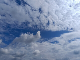 Landscapes -  Forest - Europe, Romania