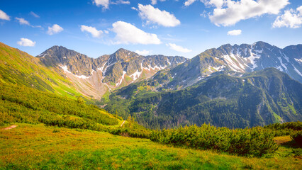 landscape in summer